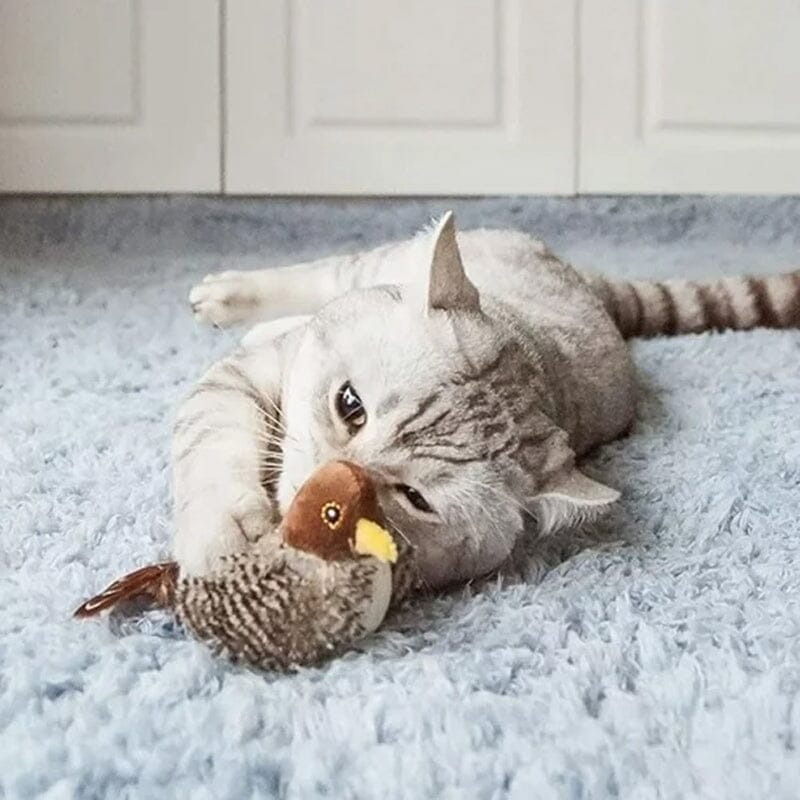 Speelgoed interactief kat - Chirping Vogel voor jouw plezier, ontworpen voor katten van alle leeftijden.