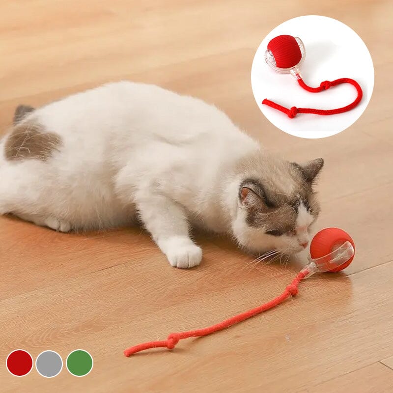 Speelse kat PurrPlay - Toy Ball voor eindeloos speelplezier.