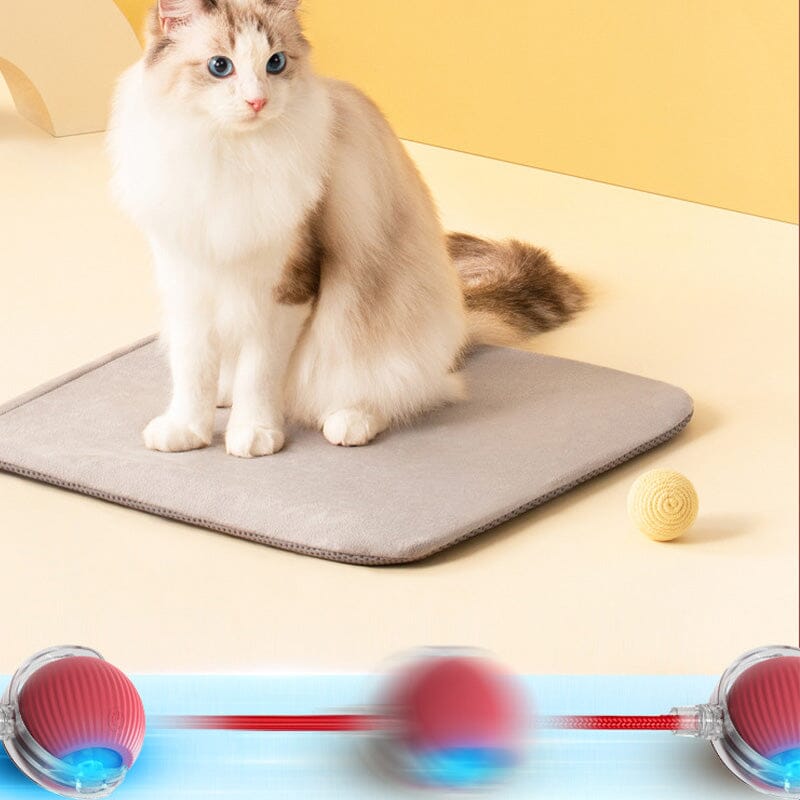 PurrPlay speelbal - Toy Ball voor je speelse kat, ideaal om energie kwijt te raken.