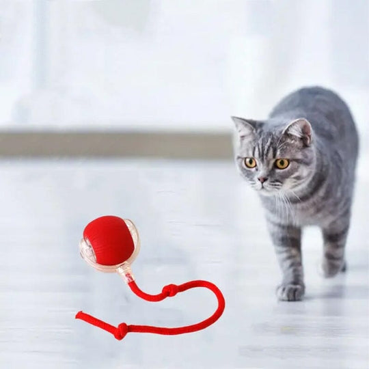 Voor katten PurrPlay - Speelbal Toy Ball, een leuke manier om actief te blijven.