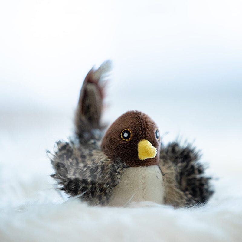 Voor jouw interactief speelgoed - Chirping Vogel kat plezier, ontworpen om verveling tegen te gaan.