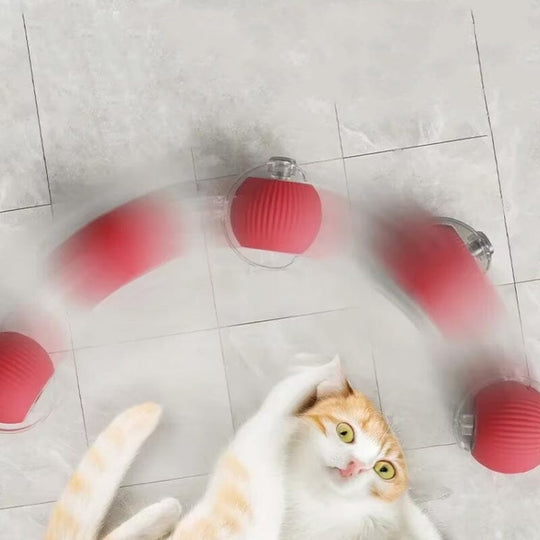 Speelbal PurrPlay Toy Ball - Voor speelse katten die van interactie houden.