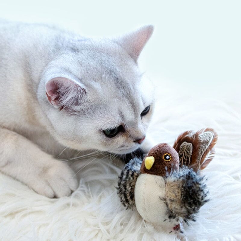 Max jachtvogel speeltje voor katten, zorgt voor veel beweging en speelse interactie.
