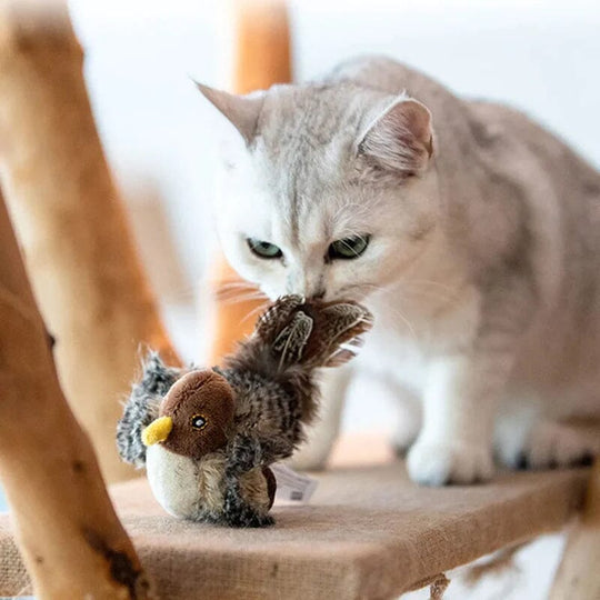 Interactief plezier voor jouw kat - Chirping Vogel Speelgoed, perfect om katten te vermaken.