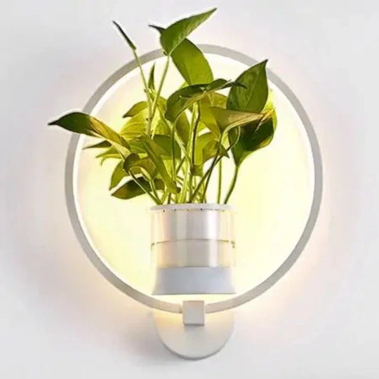 Wandverlichting met plantenhouder, een combinatie van functionele verlichting en decoratieve elementen.