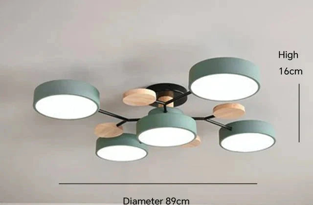 Daan Stijlvolle Sfeer LED Plafondlamp met een eigentijds design en energiebesparende verlichting.